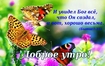 Помянем всех, кто жил когда-то, Помянем близких и родных, - ЛОВИ ОТКРЫТКУ