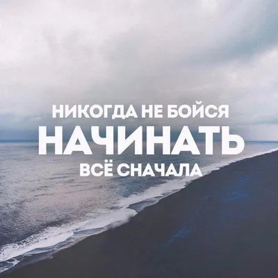 Женская Футболка Воспитываю доч, поэтому сажать дерево не вижу смысла - для  девушек | Заказать и Купить с доставкой - ProstoMarka.ru