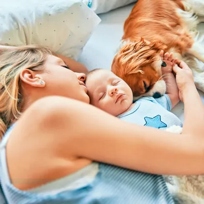 Сон и похужение. Как сон влияет на похудение?