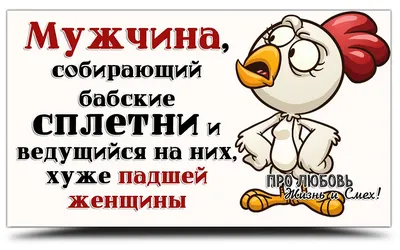 Рамзан Кадыров прилюдно отчитал сплетников, обсуждавших \"чеченскую свадьбу  тысячелетия\" - KP.RU