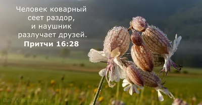 Типичный программист - Задачка про сплетников: N сплетников знают слухи,  каждый знает о чём-то своём. Они хотят поделиться друг с другом слухами  через сообщения. Тот, кто отправляет сообщение, включает в него все