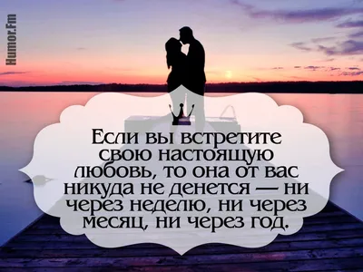 Диплом в подарок День рождения, Новый год - купить по выгодной цене в  интернет-магазине OZON (1291522047)