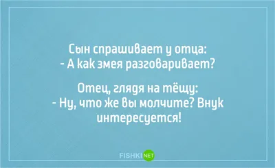 Иллюстрация 2 из 2 для Все против свекрови - Наталья Александрова |  Лабиринт - книги. Источник: Лабиринт