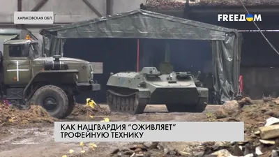 Z на украинском пикселе: Военные ДНР показали трофейную технику в  освобожденном Мариуполе - Фоторепортажи - ДАН