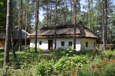 Живі образи українського села: віднайдено унікальний фотоархів Івана Литвина