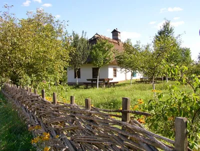 Українське село: вимирання чи еволюція - Український тиждень