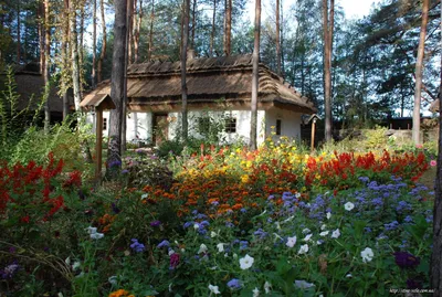 На Київщині етнографічний комплекс «Українське село» пограбували, але не  знищили - Вечірній Київ