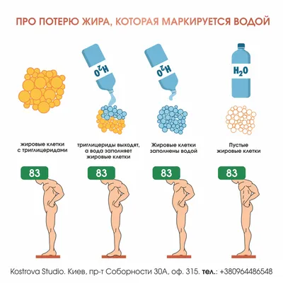 Почему вес \"стоит\"? - Студия эстетики тела Марины Костровой