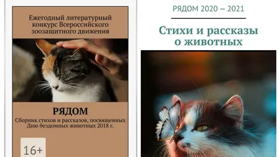 Стихотворение: \"Волк-одиночка.\" | Альтернативные стихи ... | Дзен