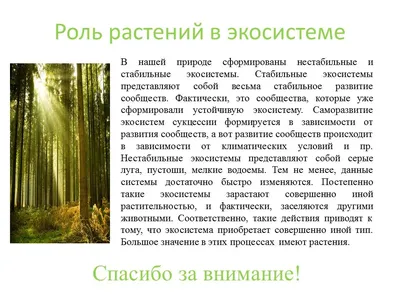 Презентация на тему: \"«Всё имеет смысл, пока мы здоровы». Тема урока: «Я и  здоровый образ жизни»\". Скачать бесплатно и без регистрации.