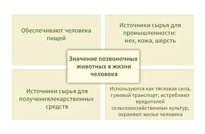 Солнечные и лунные затмения в астрологии: их значение и влияние на жизнь  человека. | Астрология Успеха | Дзен