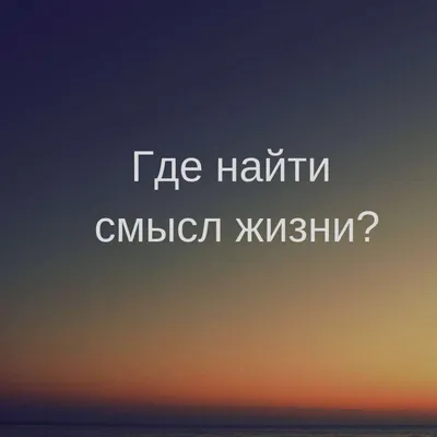 28. Хордовые животные: общие признаки строения, роль в природе и значение в  жизни человека