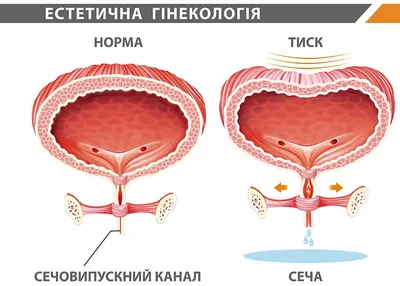 Пустите женщин в политику! | Tengrinews.kz