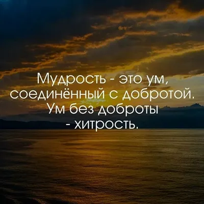 30 мудрых цитат о жизни, людях со смыслом Любимые цитаты на каждый день |  Глоток Мотивации | Дзен