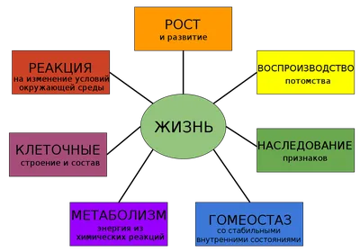 Валерий Барыкин, И жить хорошо, и жизнь хороша