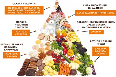 Виды молочных продуктов и правила их выбора | Рекомендации по выбору  здорового питания от Роспотребнадзора