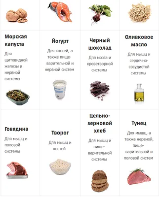 Ёмкость мерная для сыпучих продуктов 1,75л. М8775 – купить по цене  производителя