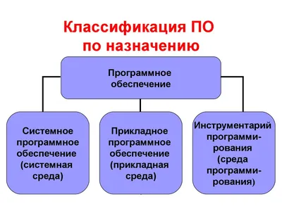 Что такое программное обеспечение: виды программ