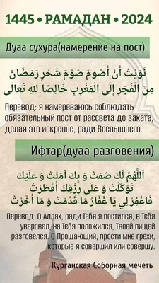 Человек-тигр из КБР просил простить его ради Аллаха - Портал Северного  Кавказа