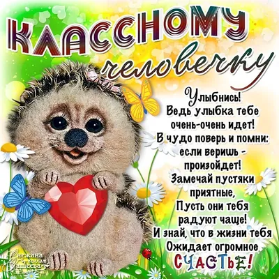 Улыбнись! Лучшие шутки дня