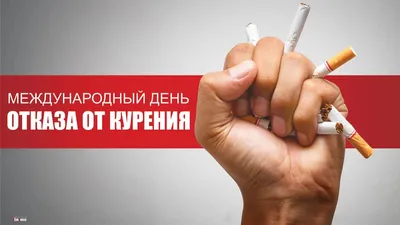 Социальная Реклама Против Курения Курение Вредная Привычка Проблема  Общества — стоковые фотографии и другие картинки Без людей - iStock