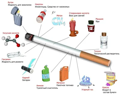 16 ноября 2023 года – Международный день отказа от курения / Новости /  Официальный интернет-портал органов местного самоуправления городского  округа Протвино Московской Области