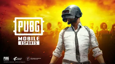 PlayerUnknown's Battlegrounds Mobile - IGN