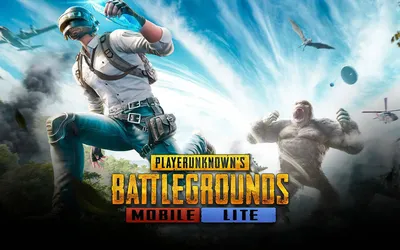 PUBG MOBILE LITE OFFICIAL SITE