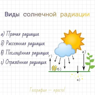 Человек для них был хуже радиации\". Жизнь в чернобыльской зоне | Новости  Беларуси | euroradio.fm