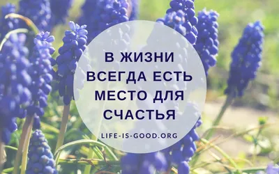 Пусть утро вас улыбкою встречает,И день начнётся с радости и доброты.Пусть  музыка любви в душе играет. И сбудется все то, что загадали Вы!....так  пойдет?).....как вам такое пожелание?).....(стихи не мои....одолжили из  просторов тырнета))