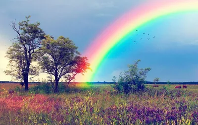 Фотограф запечатлел фантастически редкую пятерную радугу | Пикабу