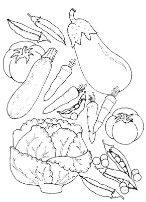 Зеленый,сладкий, горошек, раскраска, овощи | Раскраски, Раскраски с  животными, Лайн-арт