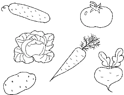 Раскраски Овощи - детские раскраски распечатать бесплатно