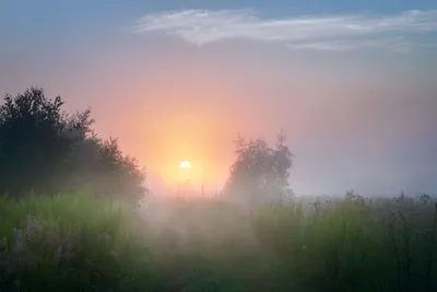 Летний рассвет. Фотограф Стрельчук Александр