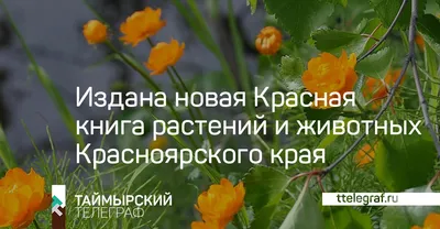 РАСТЕНИЯ, которые ЕДЯТ ЖИВОТНЫХ!!! - YouTube