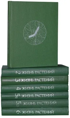 Стволовые клетки растений и животных: две стороны одной медали. Часть 1 –  тема научной статьи по биологическим наукам читайте бесплатно текст  научно-исследовательской работы в электронной библиотеке КиберЛенинка