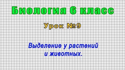 Роли организмов в круговороте жизни — урок. Окружающий мир, 3 класс.