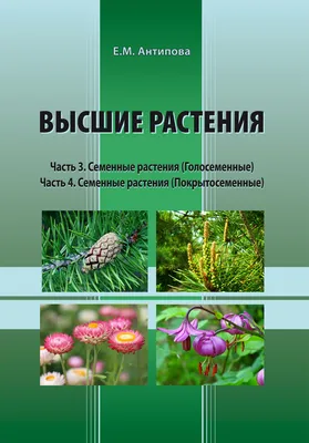 Топ 15 неприхотливых комнатных растений