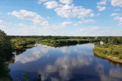 Самая длинная река Казахстана — Ишим — Петропавловск News