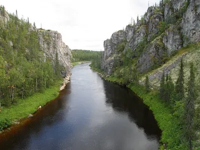 Бурная река | Река, Пейзажи, Картины пейзажа