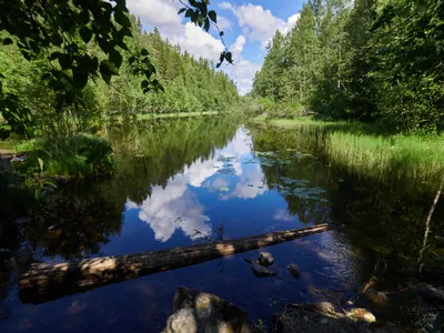 Река Шахе в Сочи | Головинка, Краснодарский край: описание, фото