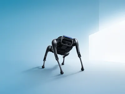 Полиция Бронкса выгуляла робопса от Boston Dynamics | РБК Стиль