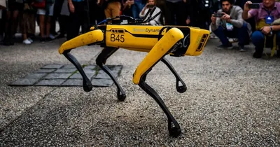 В Китае создали аналог робопса от Boston Dynamics, но почти в 30 раз  дешевле оригинала