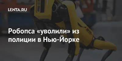 Робопса Boston Dynamics научили «мочиться» в стакан пивом — Нож