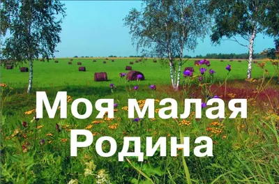 Онлайн-марафон «Моя Родина» завершён!