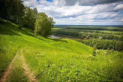 Rodyna Родина