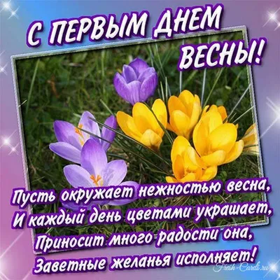 🌷🌷🌷 Поздравляем с первым днём весны! | Поздравления, пожелания, открытки  | ВКонтакте