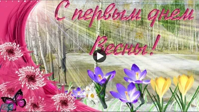 1 марта: Праздник весны и Всемирный день комплимента (World Compliment Day)  - Hockey4Kids