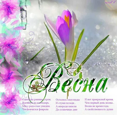 1 марта С Первым Днем Весны🌷#первыйденьвесны#спервымднемвесны#1марта#доброеутро#доброевесеннееутро  | Instagram