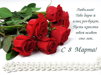 Сиреневая роза любимой девушке на 8 марта - обои для рабочего стола,  картинки, фото